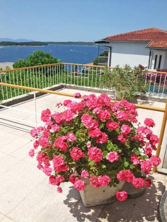 Rooms Vinka Tudor Hvar Town Kültér fotó